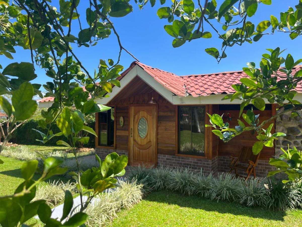 Pitangus Lodge Chachagua Dış mekan fotoğraf