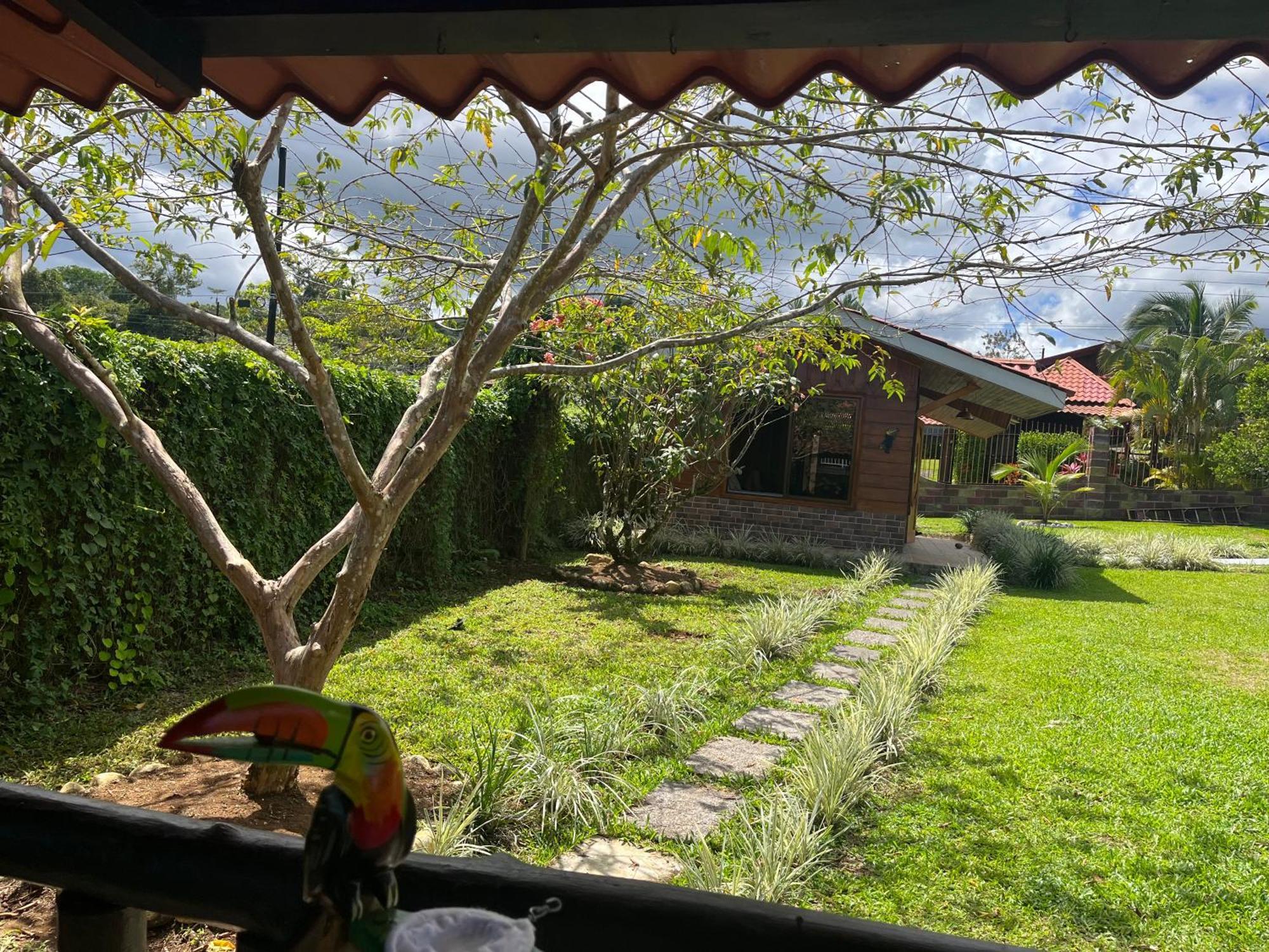Pitangus Lodge Chachagua Dış mekan fotoğraf
