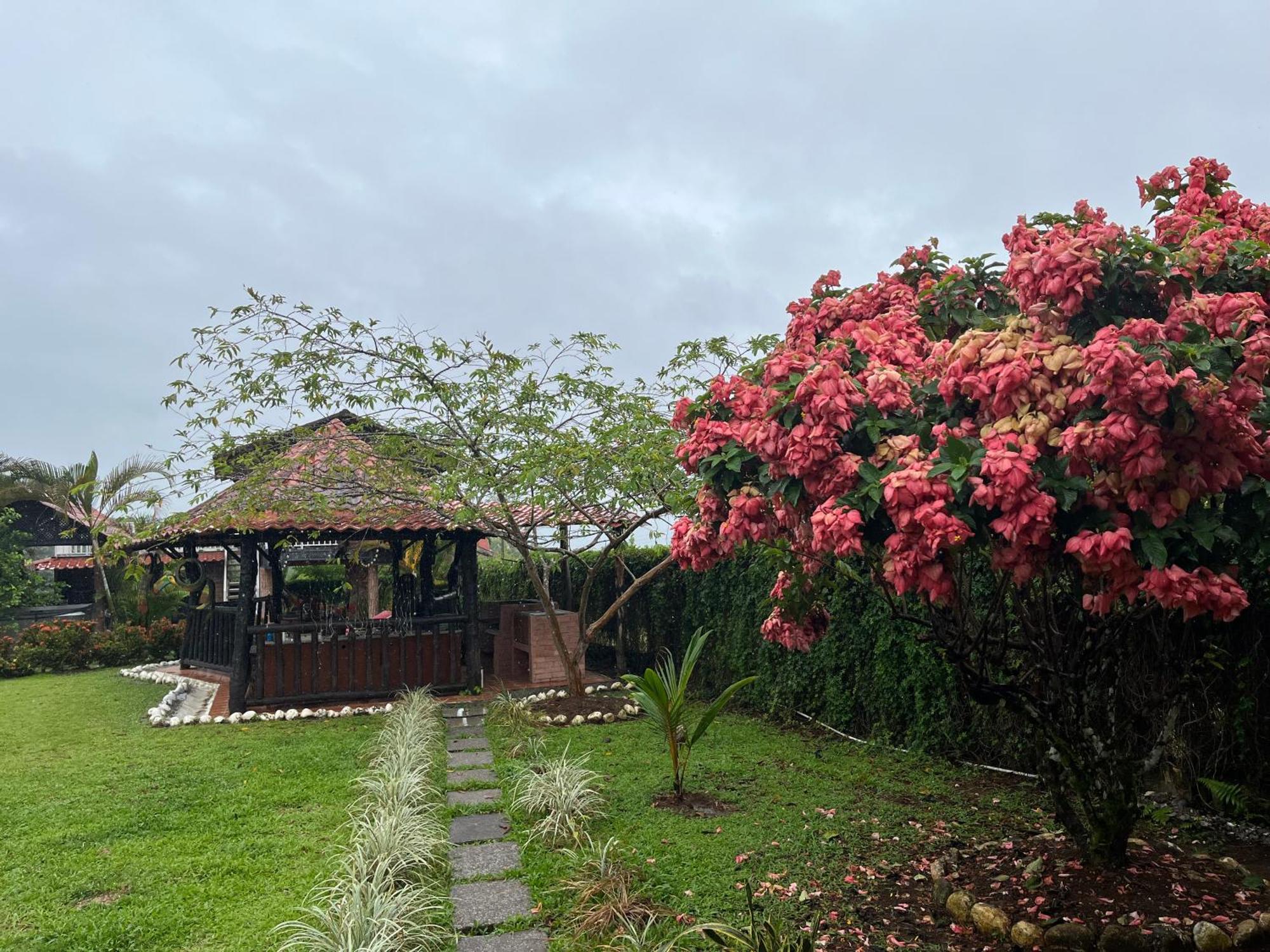 Pitangus Lodge Chachagua Dış mekan fotoğraf