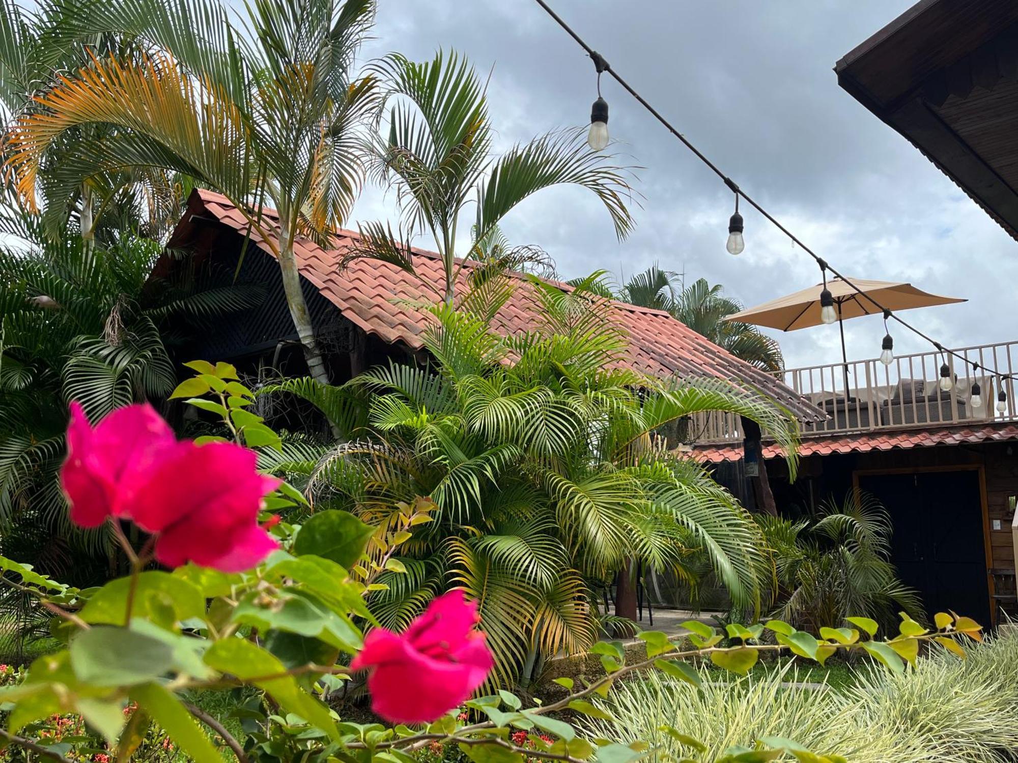 Pitangus Lodge Chachagua Dış mekan fotoğraf